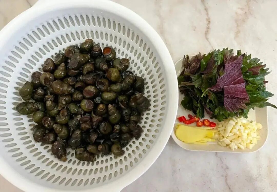 紫苏炒田螺，香味浓郁、鲜辣入味又多汁，绝了
