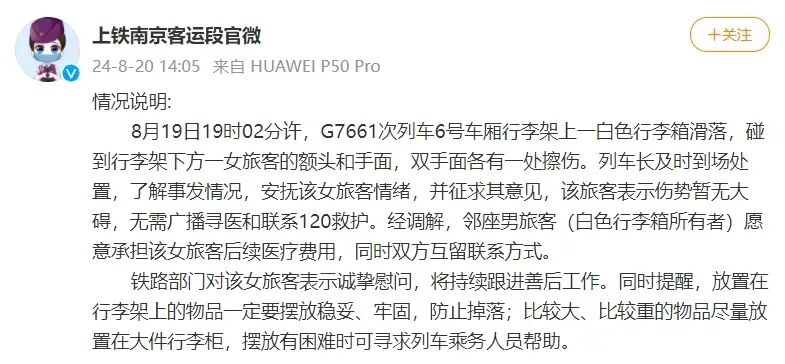 事发高铁！女子被26寸行李箱砸到头，索赔600元，箱子主人称“已超我责任范围” ... ...